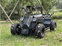 All terrain four-wheel drive off-road vehicle ATV  UTV  60V