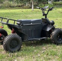 All terrain four-wheel drive off-road vehicle ATV  UTV  60V