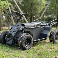 All terrain four-wheel drive off-road vehicle ATV  UTV  60V