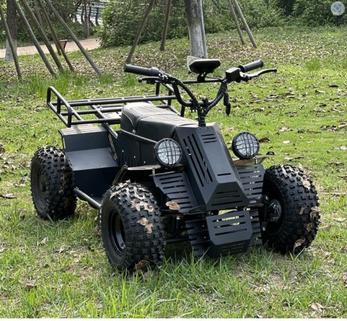 All terrain four-wheel drive off-road vehicle ATV  UTV  60V