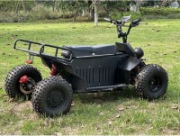 All terrain four-wheel drive off-road vehicle ATV  UTV  60V